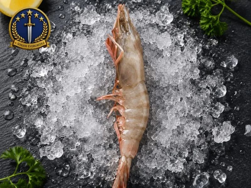 King Prawn